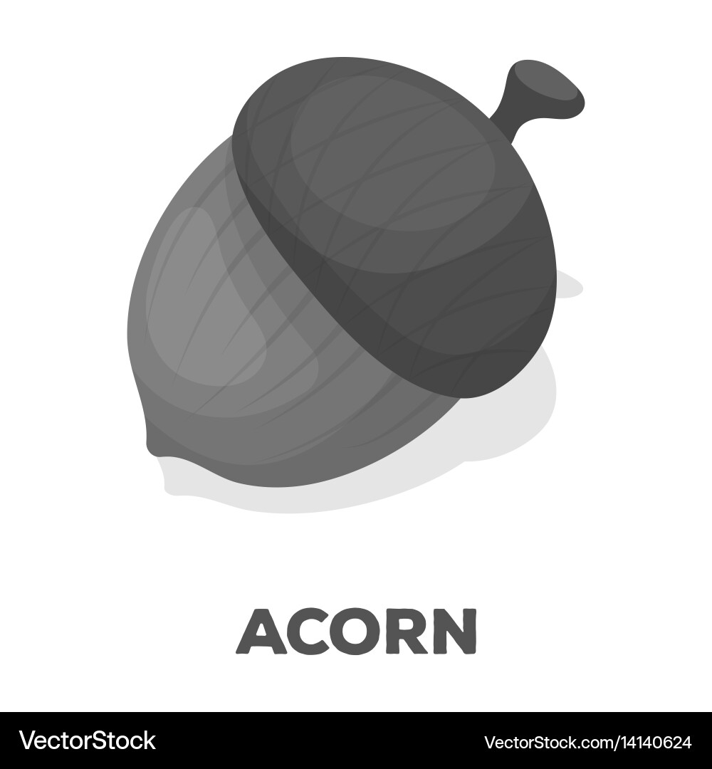 An acorn with a hatdifferent kinds of nuts single vector image