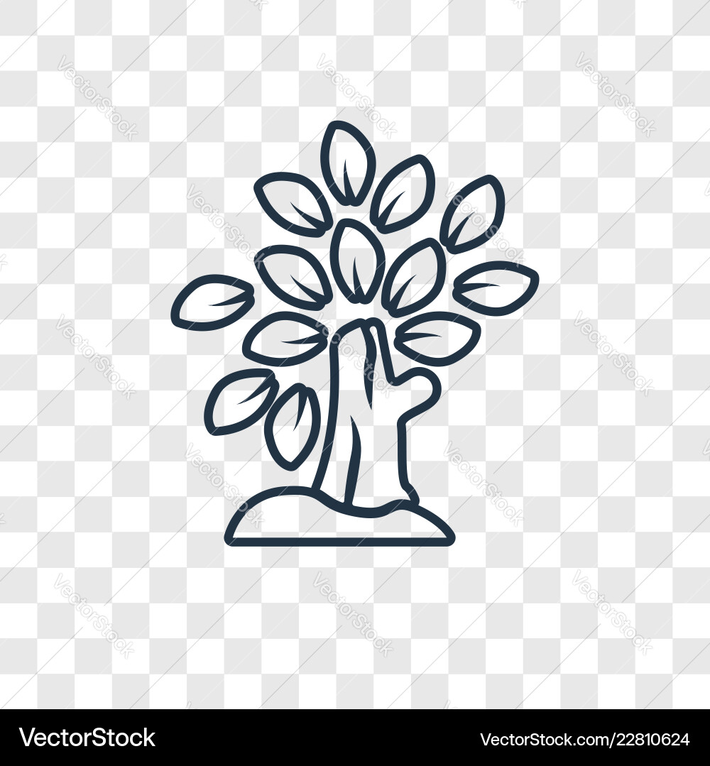 Tree with many leaves concept linear icon Tree with many leaves concept linear icon vector image