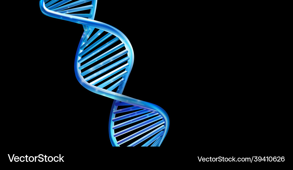 Blue glowing dna model on a black background Blue glowing dna model on a black background vector image