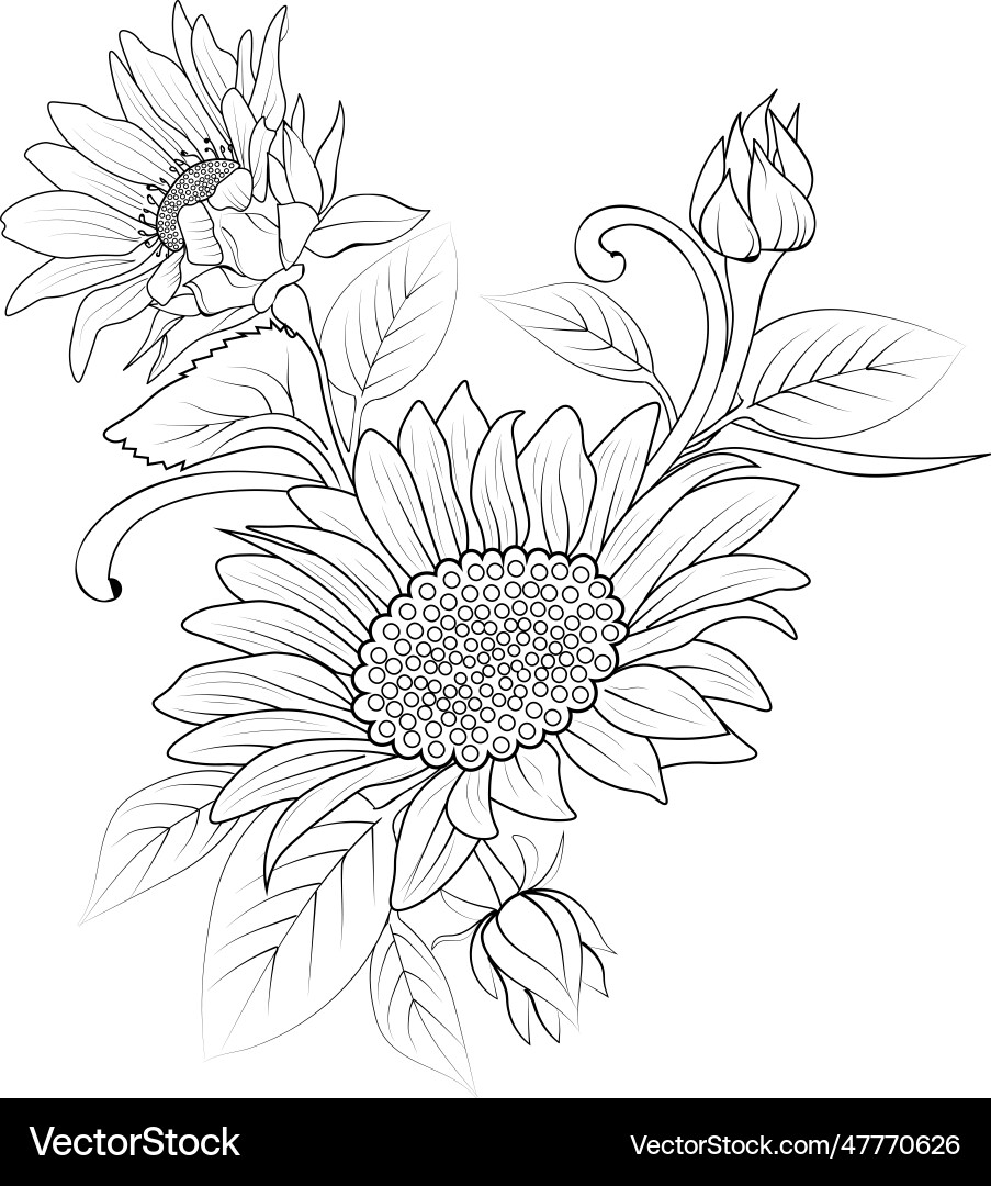 Elegant Sunflower Outline Vector Image