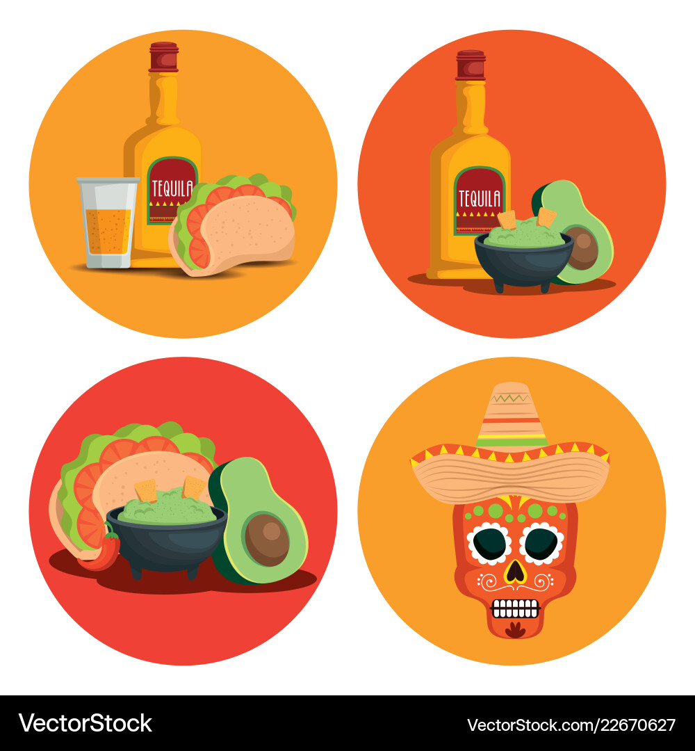 Set tequila with avocado sauce and skull to event Vector Image