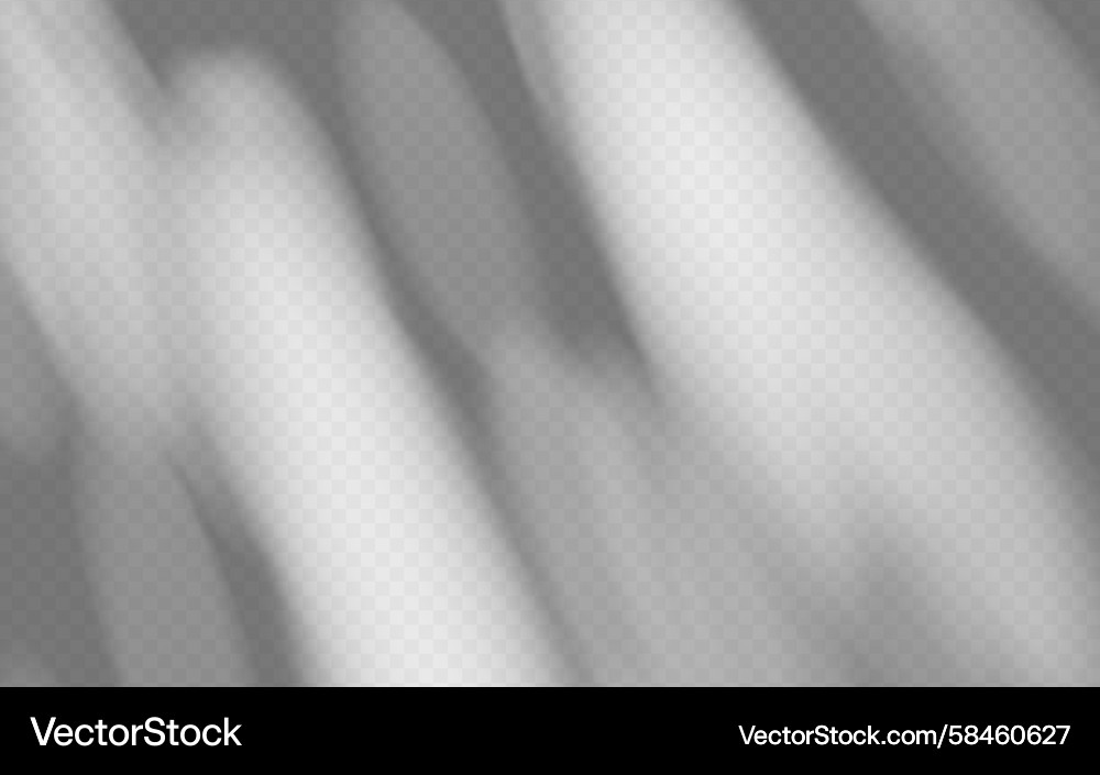 Tree Branch Shadow Overlay Vector Image