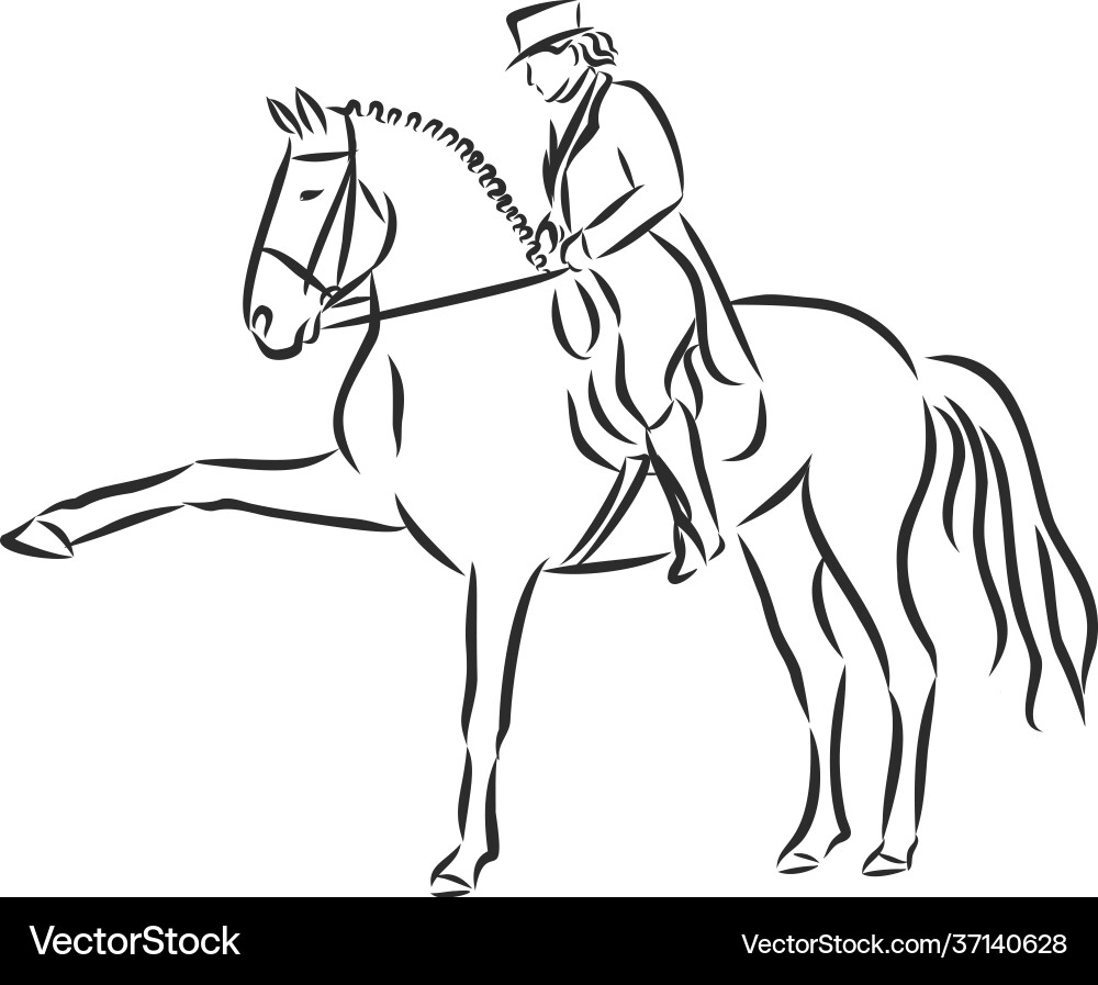 A sketch dressage rider on horse executing A sketch dressage rider on horse executing Vector Image