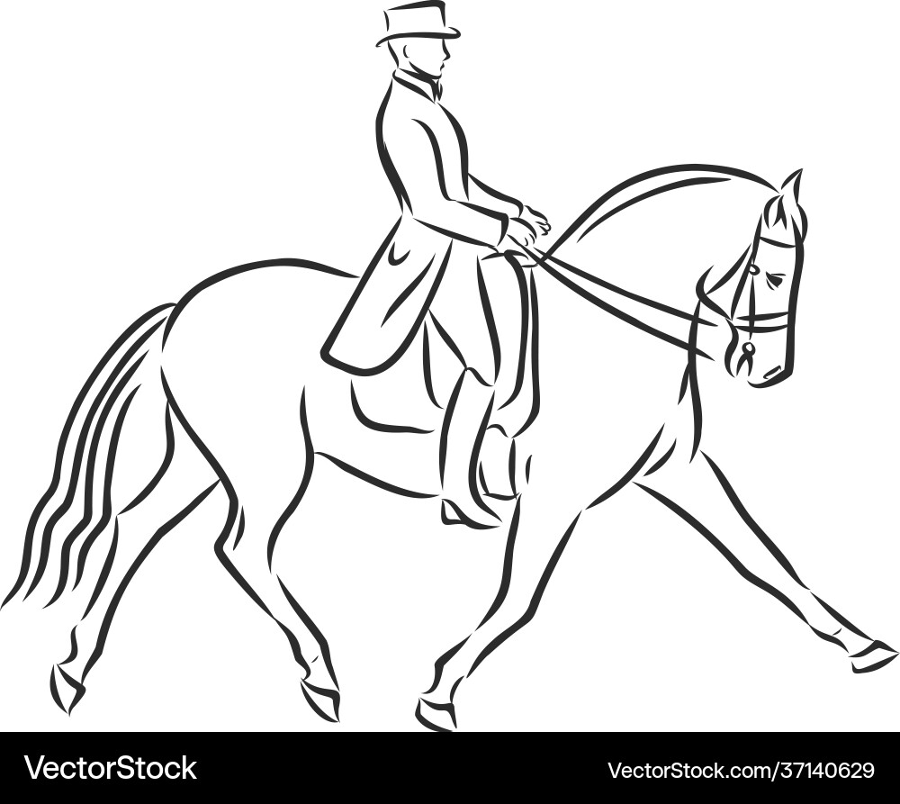 A sketch dressage rider on horse executing A sketch dressage rider on horse executing Vector Image