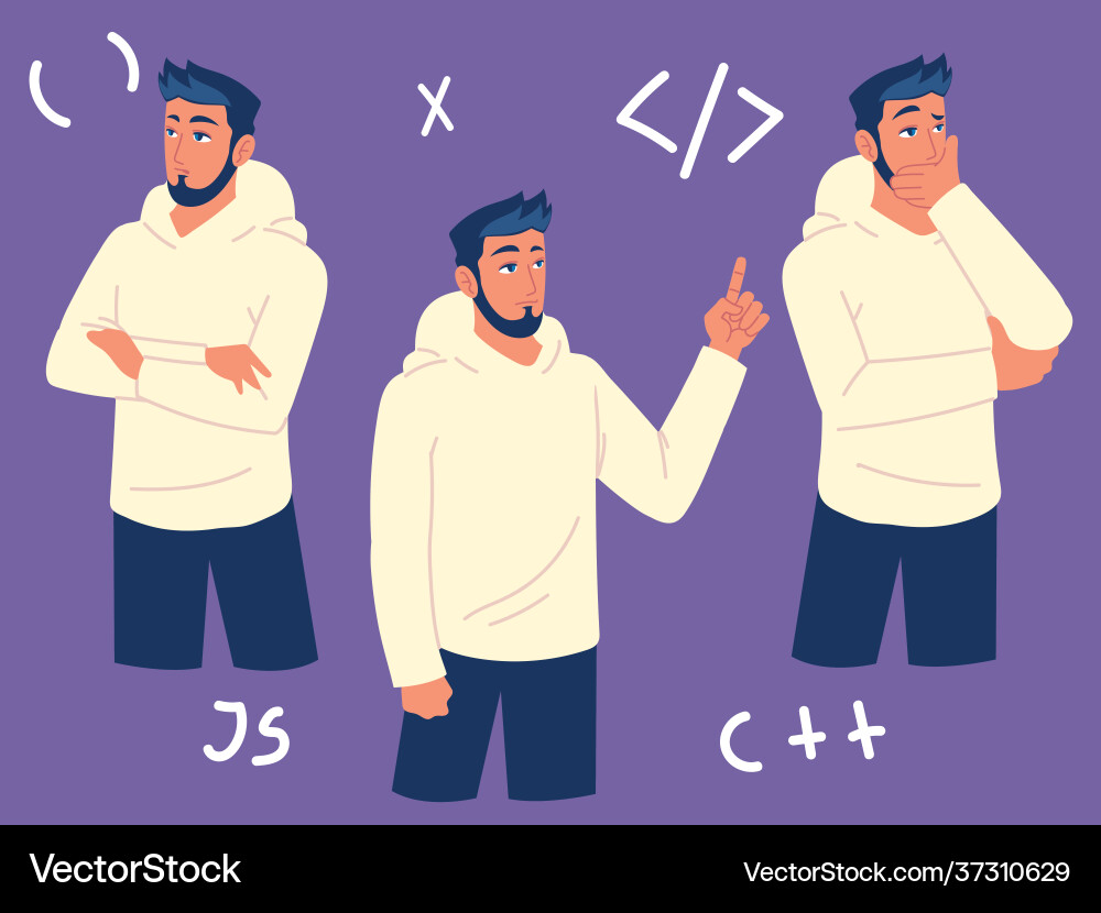 Developer project programming Vector Image