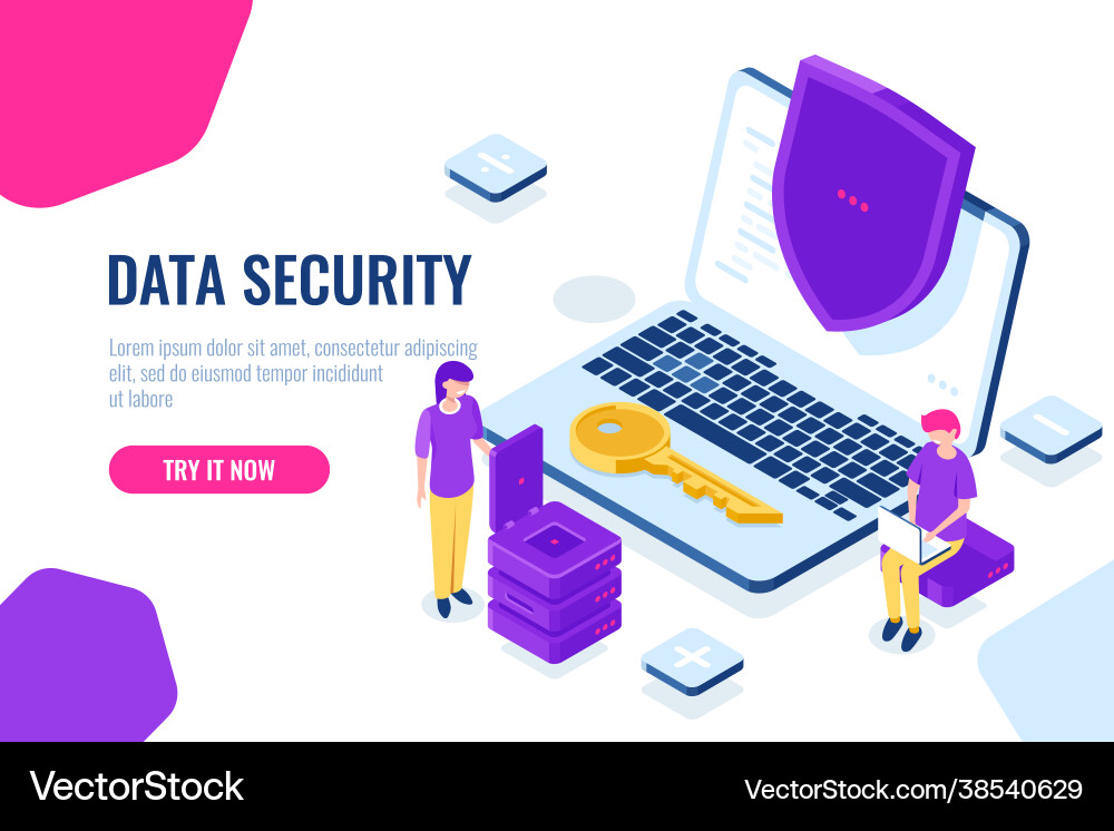 Protection and security computer data Protection and security computer data vector image