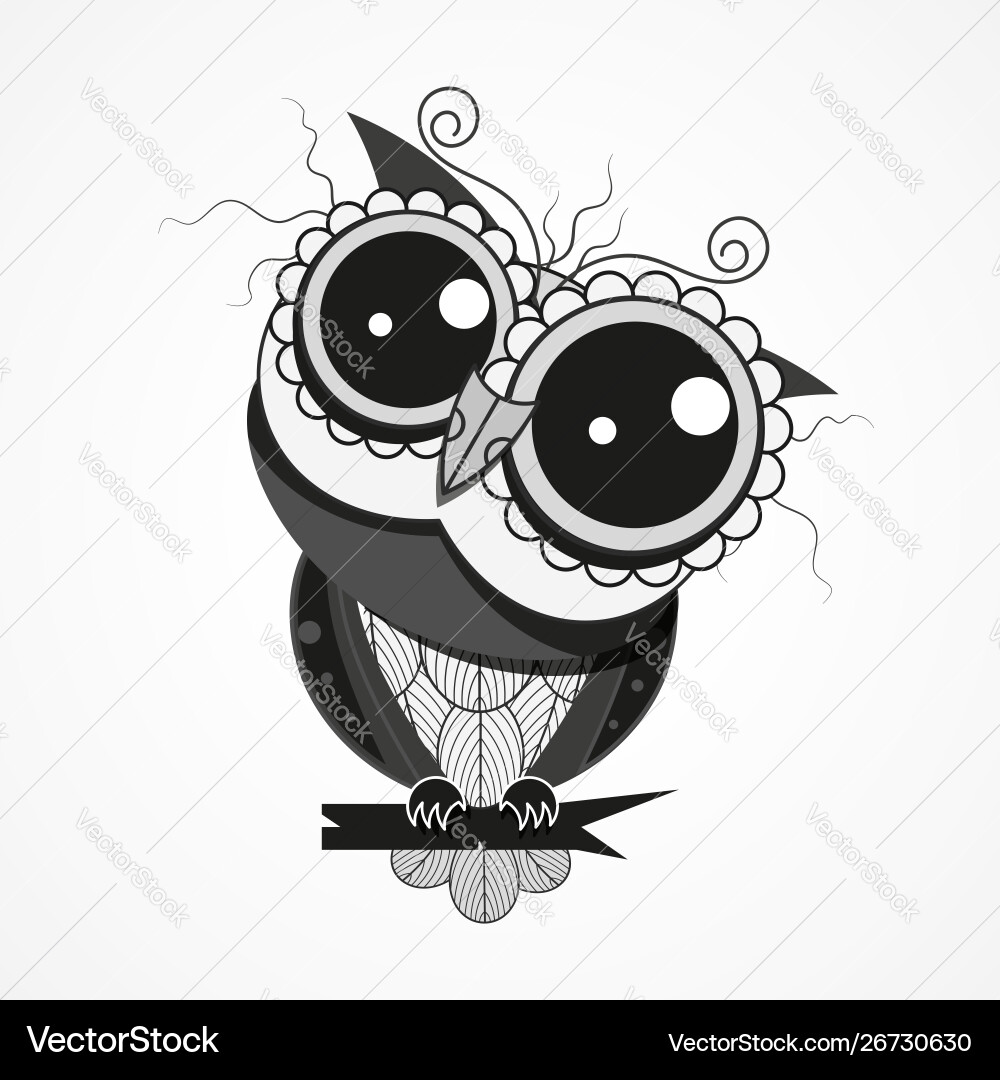 Bird owl with feathers on a tree branch design Vector Image