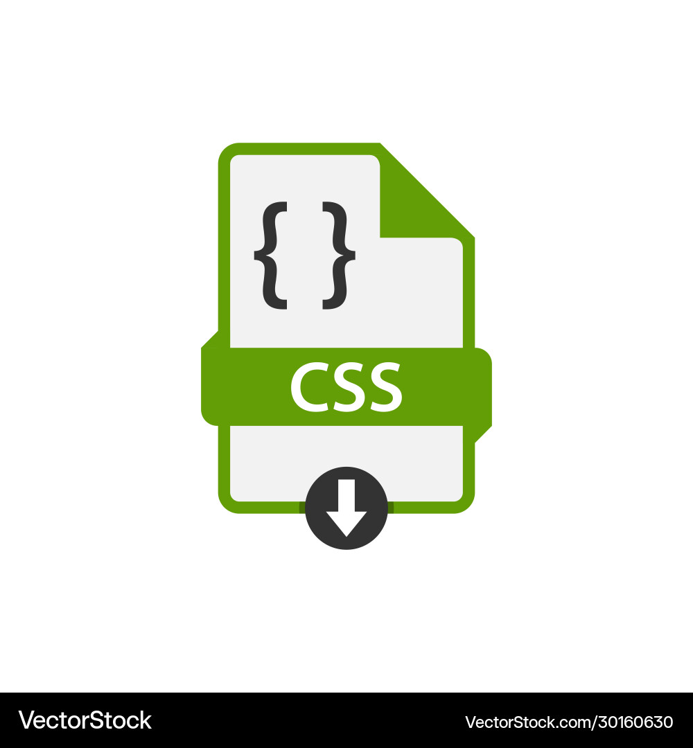 Css file icon flat design vector image