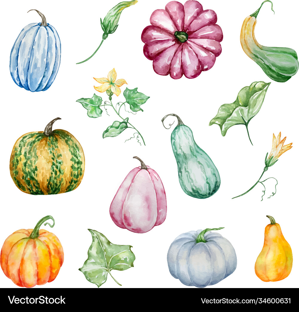 Aquarell Set Herbst Kürbisse vektorbild