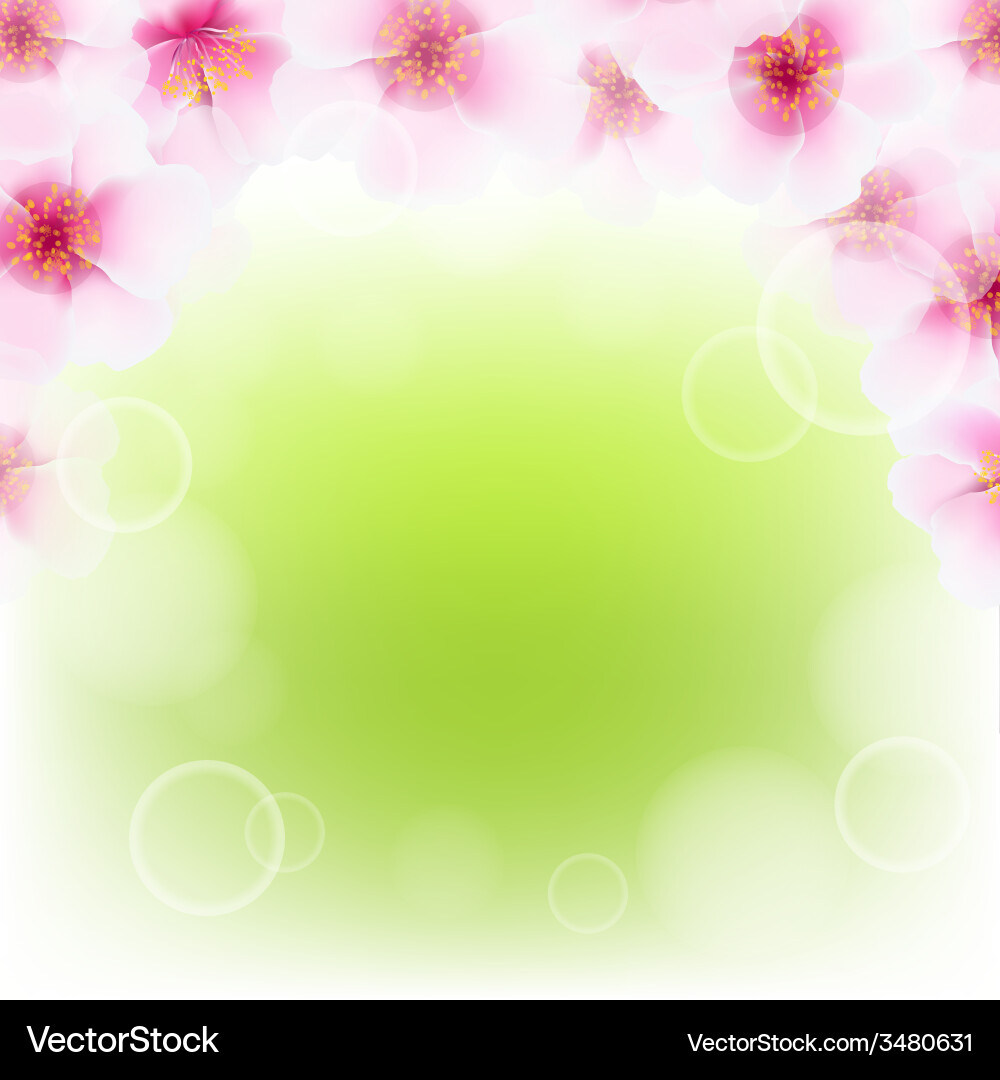 Pink cherry flower border with blur Vector Image