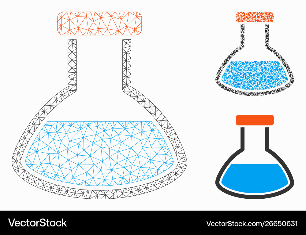Rounded flask mesh wire frame model Rounded flask mesh wire frame model vector image