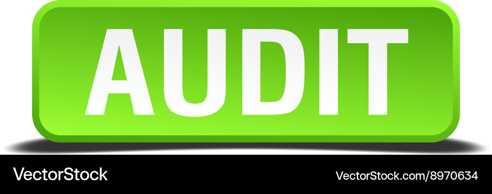 Audit green 3d realistic square isolated button Vector Image