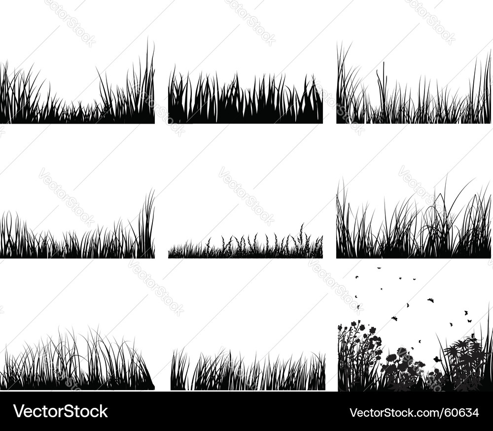 Grass Elements Collection Vector Image