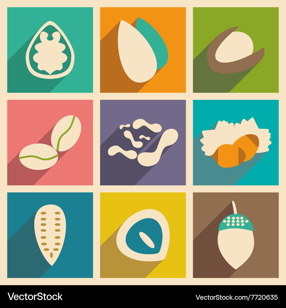 Flat with shadow concept and mobile application Vector Image