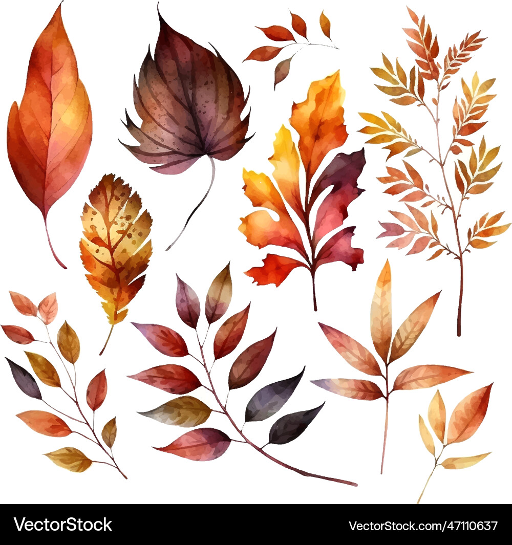 Beautiful autumn leaves watercolor set great vector image