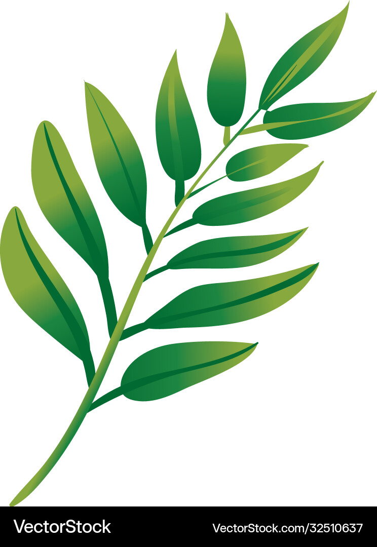 Branch with leafs botanical gradient style icon Vector Image