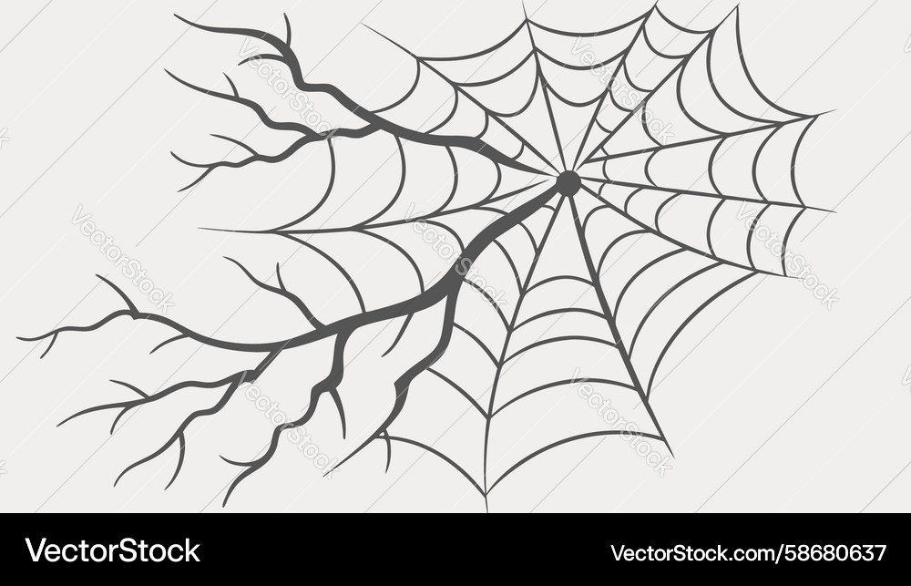 Intricate spider web with entangled branches Vector Image