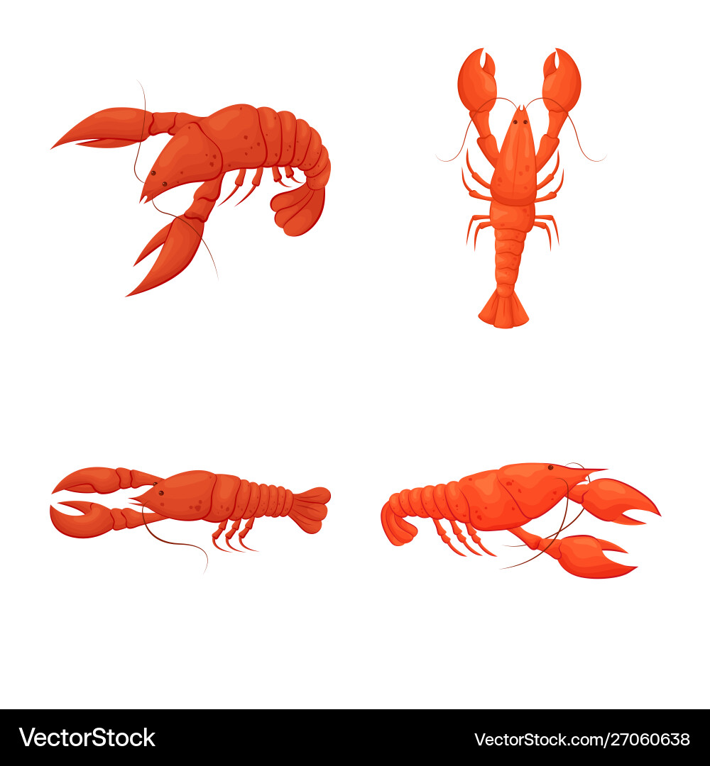 Isolated object shrimp and crab sign set Vector Image