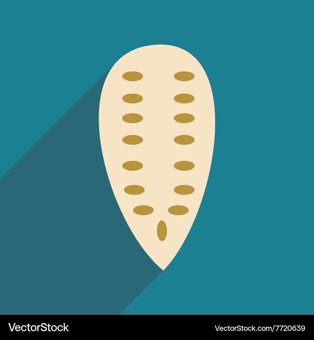 Flat with shadow icon and mobile application Vector Image