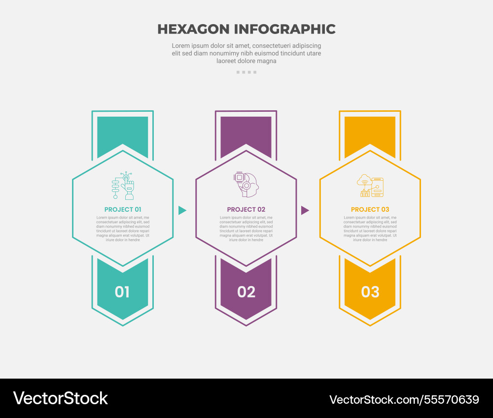 Hexagon or hexagonal base shape infographic Hexagon or hexagonal base shape infographic vector image