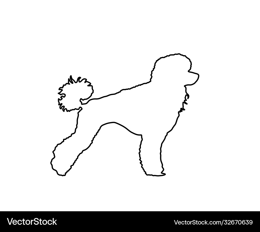 Toy poodle dog line contour Toy poodle dog line contour vector image