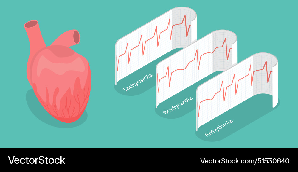 3d isometric flat 3d isometric flat vector image