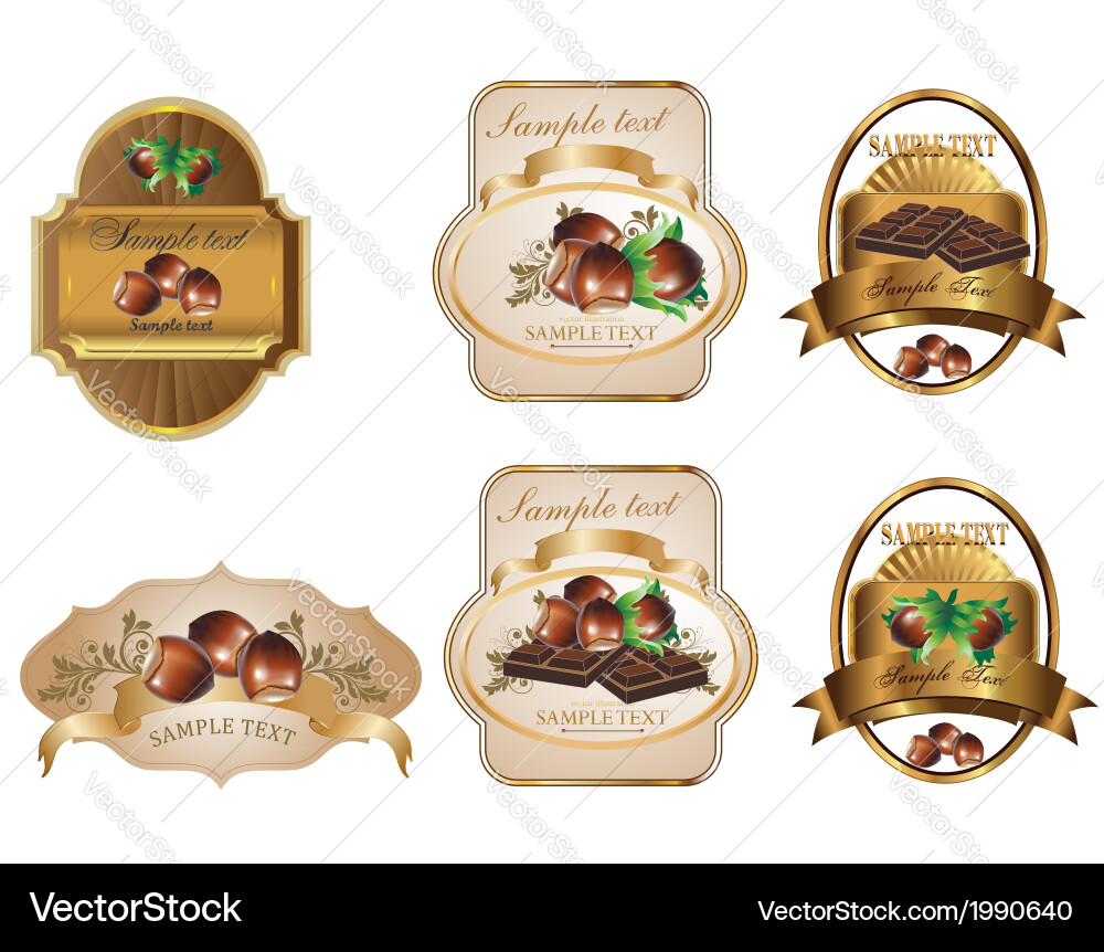 Nut Label with Chocolate Elements vector image