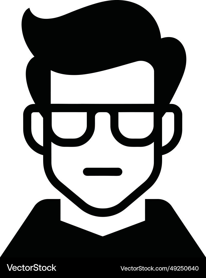 Web developer icon vector image
