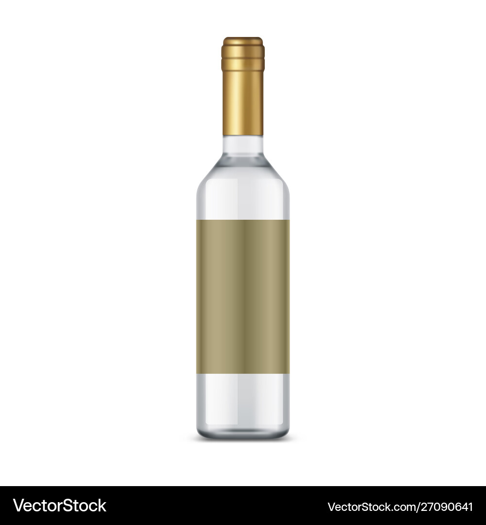Isolated bottle vodka with empty label Isolated bottle vodka with empty label vector image