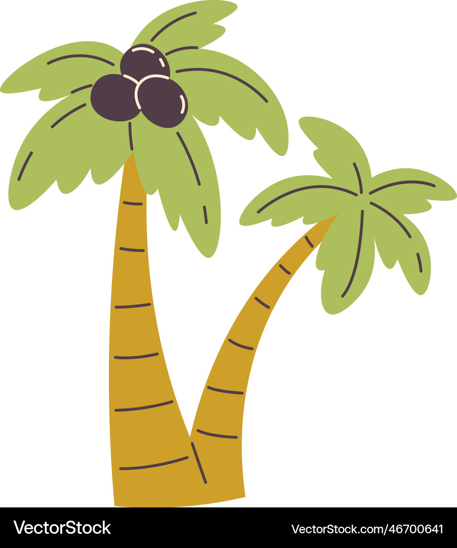 Palms with coconuts Vector Image