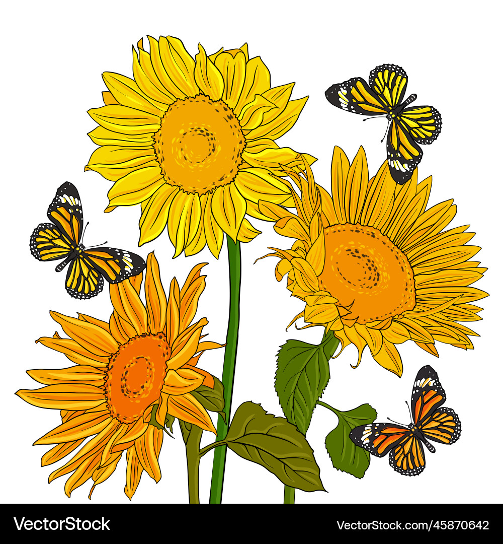 Drawing butterflies and flowers – Royalty-Free Vector | VectorStock, image size:1000x1080