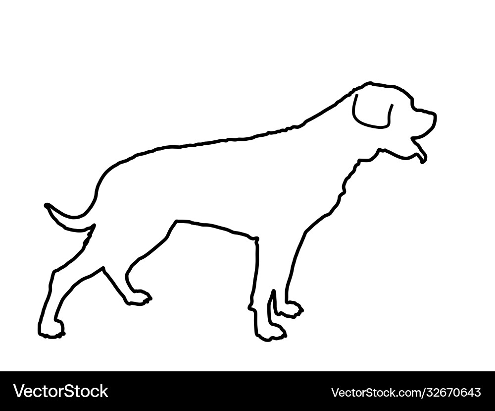 Dog rottweiler portrait line contour Dog rottweiler portrait line contour vector image