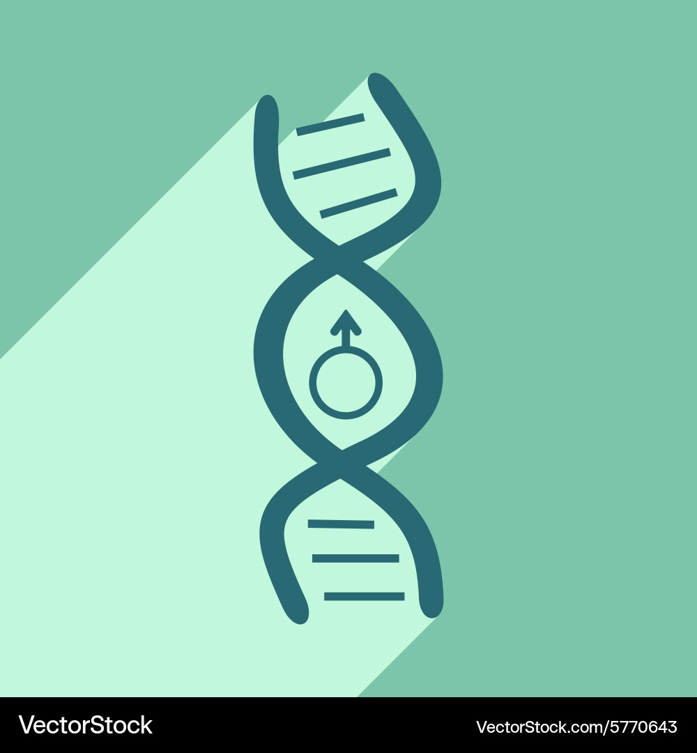 Flat with shadow icon and mobile application genes Vector Image