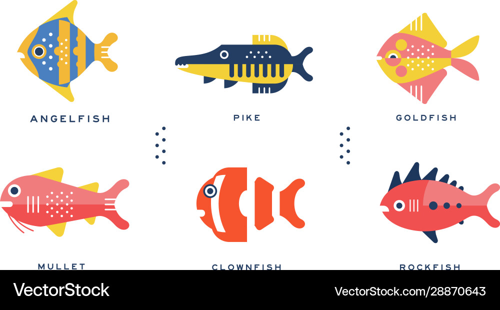 Freshwater and ocean fishes collection angelfish Freshwater and ocean fishes collection angelfish vector image