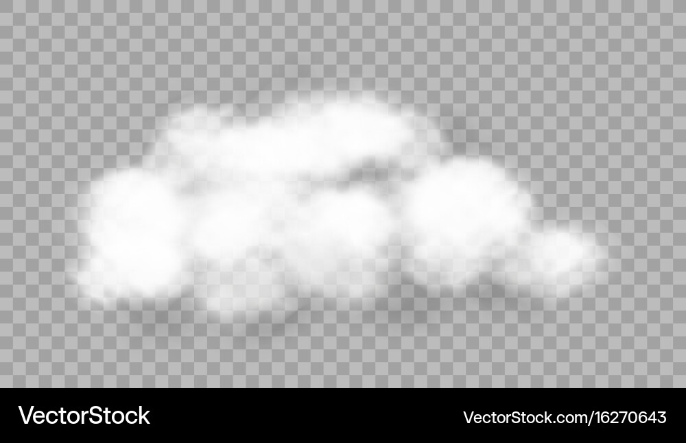 Realistic cloud on transparent background Vector Image