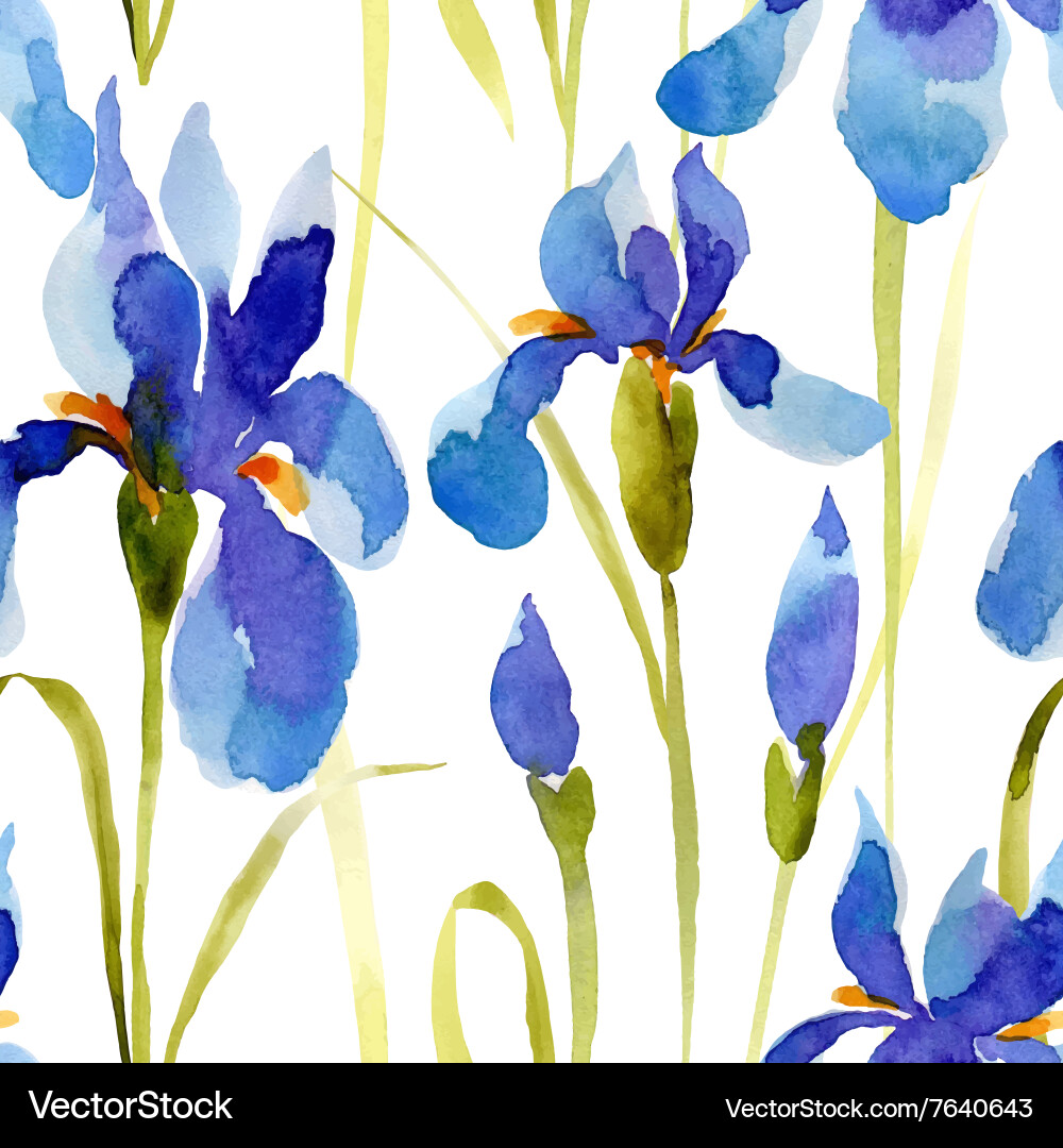 Watercolor Floral Seamless Pattern Vector Image