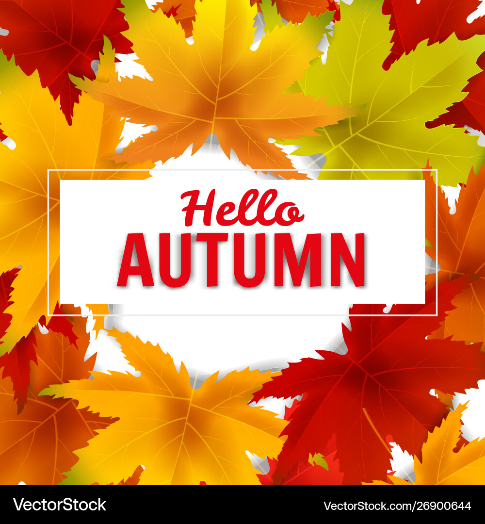 Hello autumn background template with falling Hello autumn background template with falling vector image