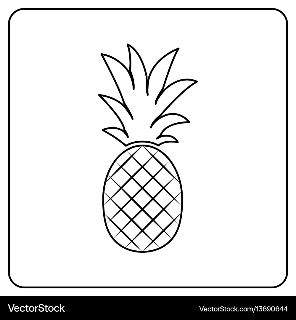 Pineapple fruit Royalty Free Vector Image - VectorStock