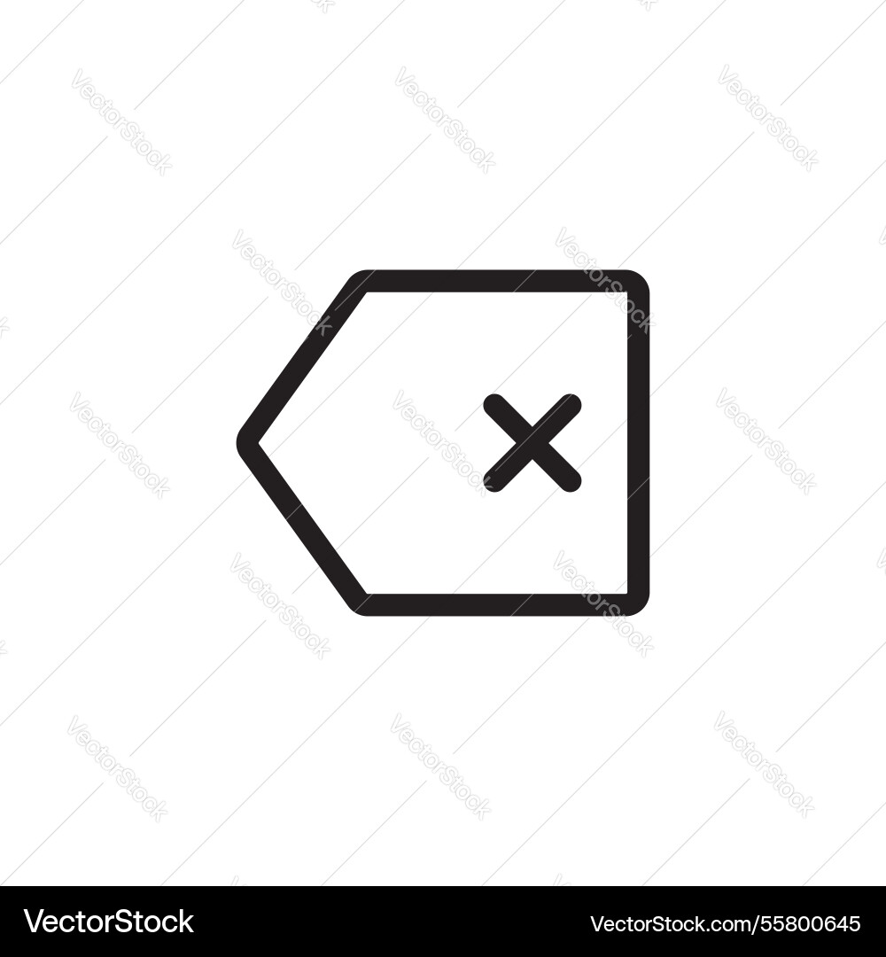 Backspace icon delete button Backspace icon delete button vector image