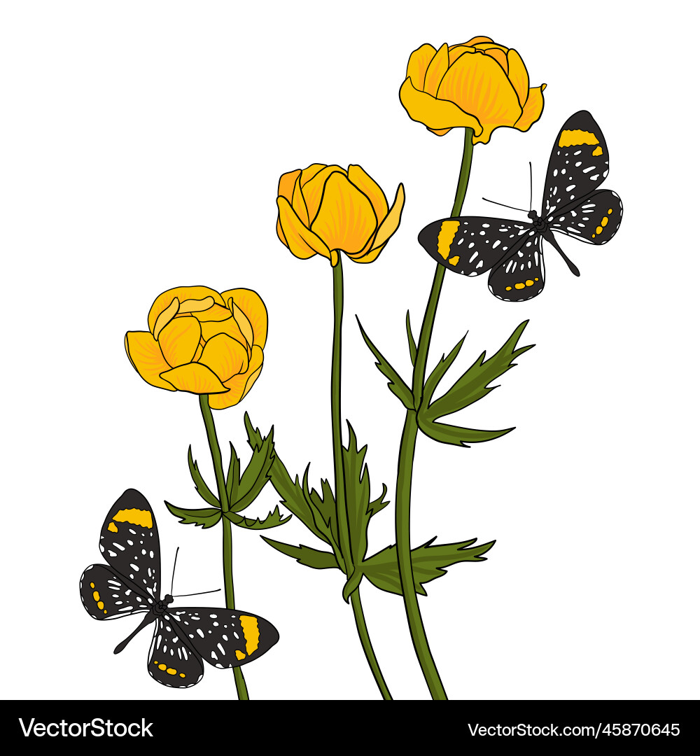 Drawing butterflies and flowers vector image