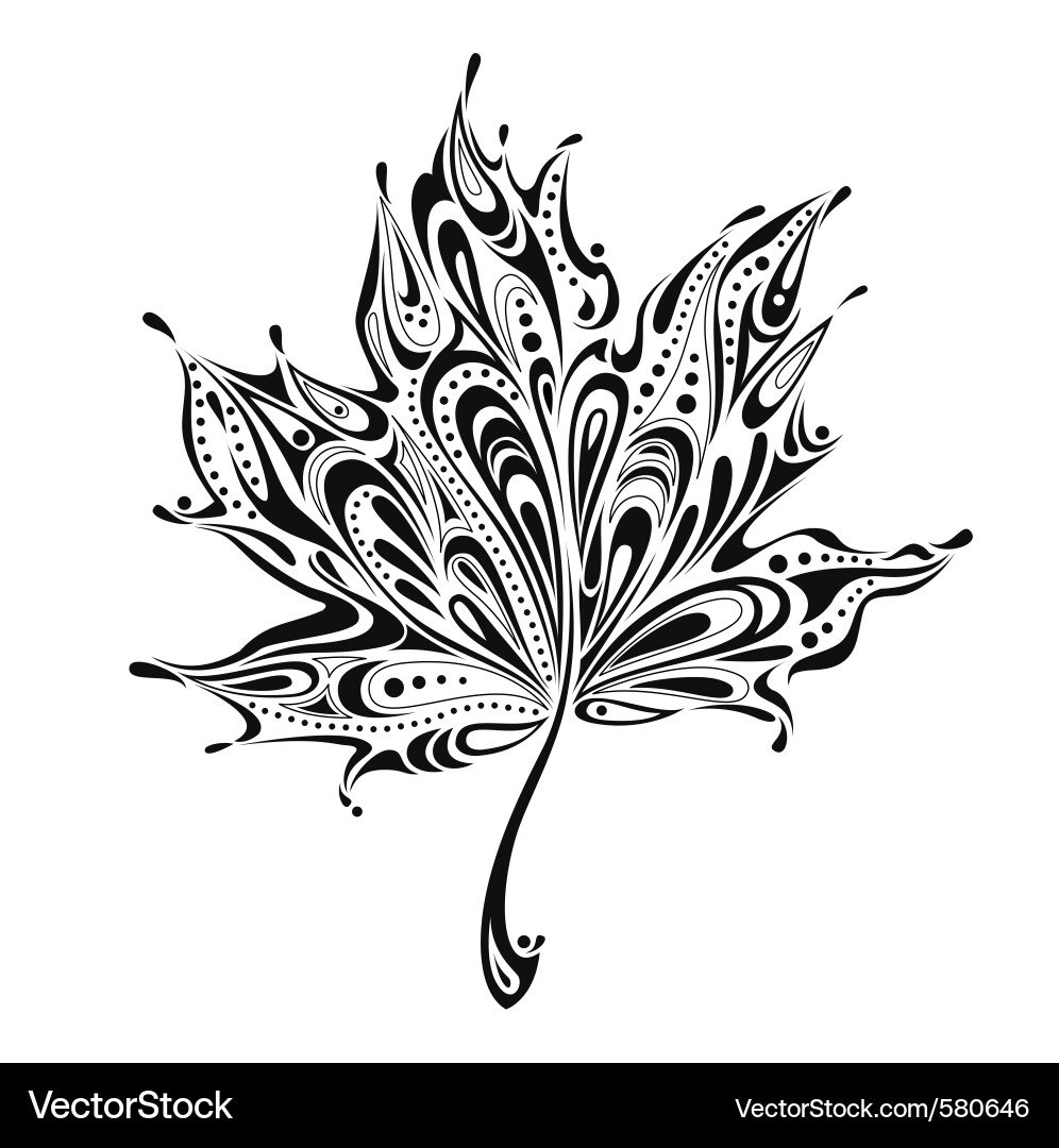 Botanical Sketch vector image