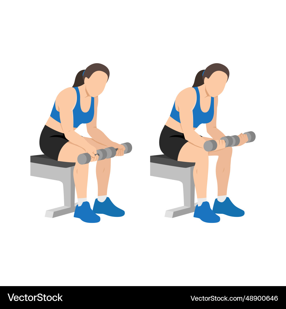 Woman doing seated dumbbell palm up wrist curls Woman doing seated dumbbell palm up wrist curls vector image
