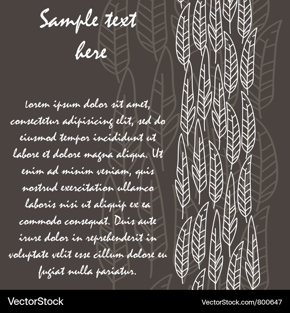 Background with white feathers Vector Image