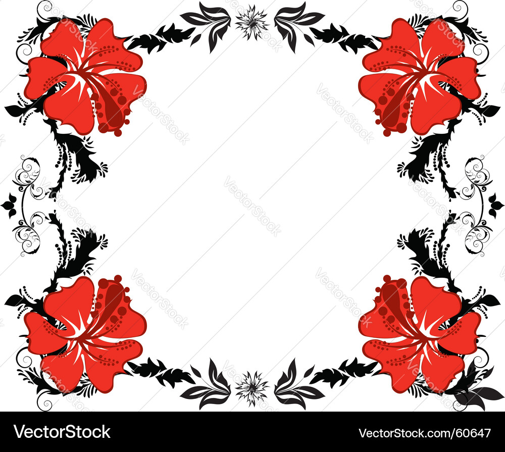 Floral frame vector image