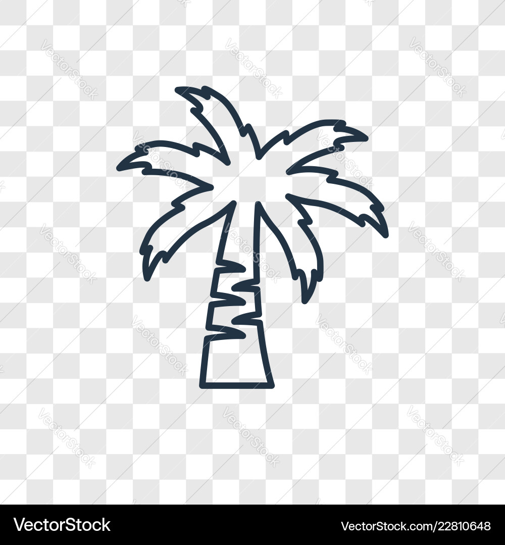 Coconut tree concept linear icon isolated Coconut tree concept linear icon isolated vector image