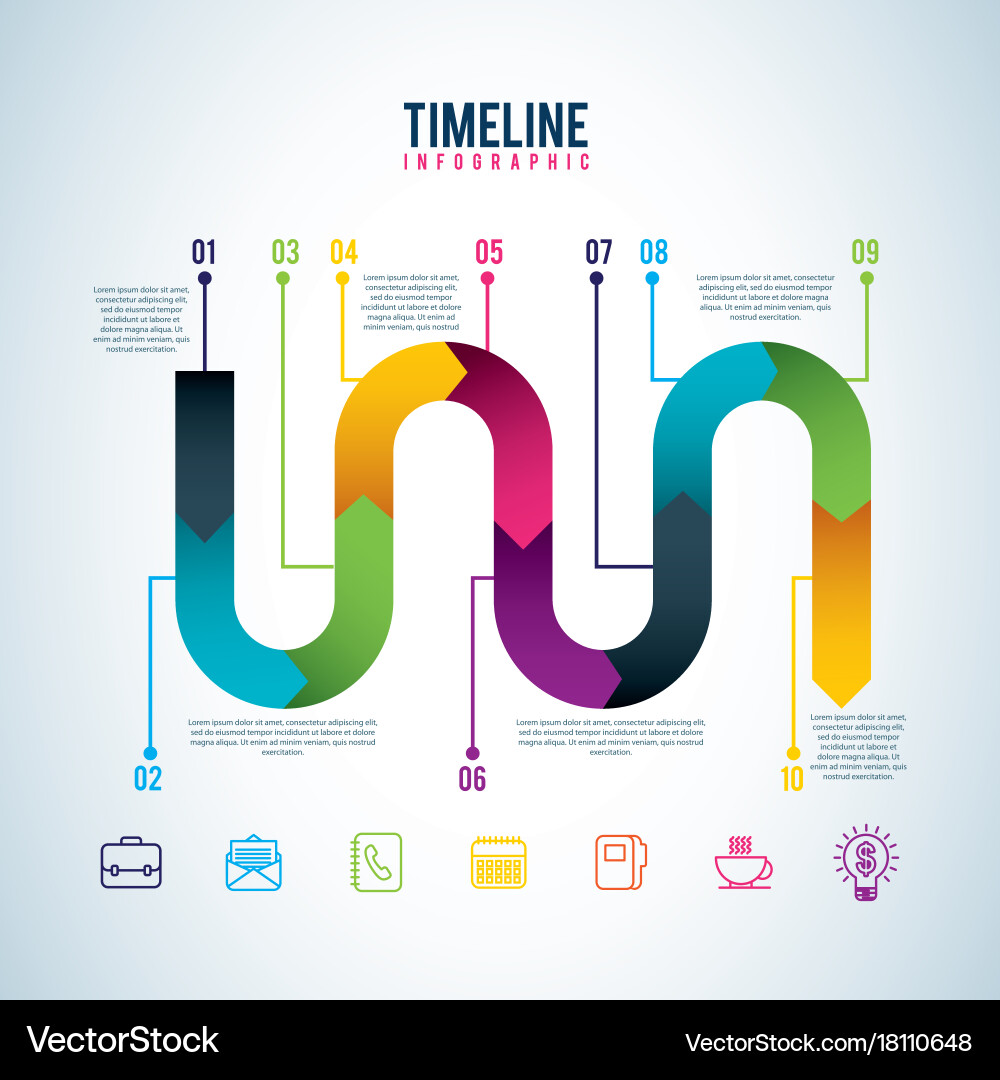 Timeline infographic progress workflow option vector image