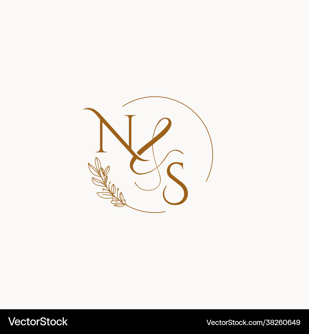 NS Wedding Monogram Logo Vector Image
