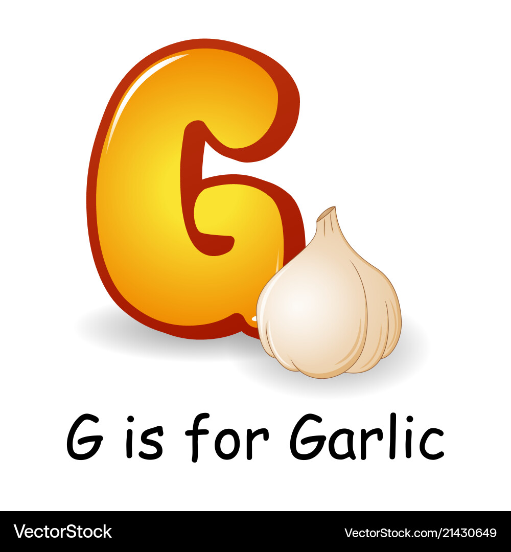 vegetables-alphabet-g-is-for-garlic-royalty-free-vector