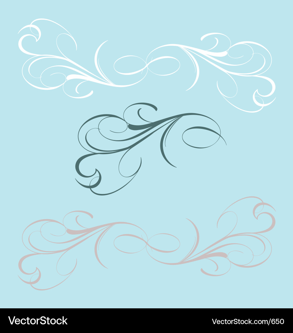 Ornate Script Elements Vector Image