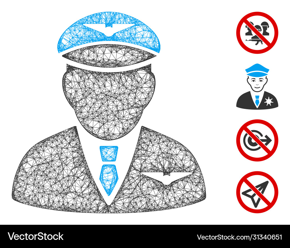 Pilot web mesh Pilot web mesh vector image